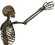 Skeleton Arm N2