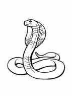 coloring page with cobra snake