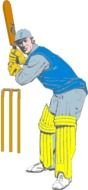 Cricket Clip Art drawing