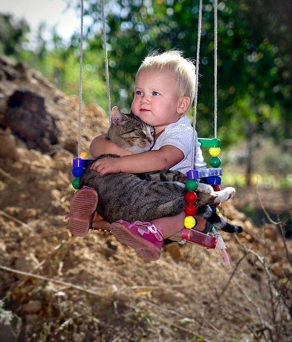 Cat And Baby