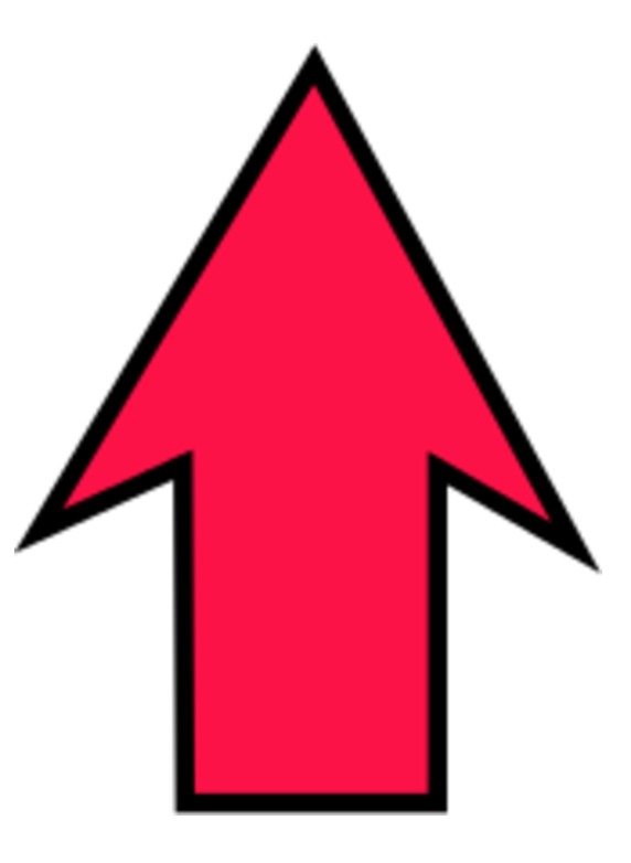 Arrow Pointing Up N13
