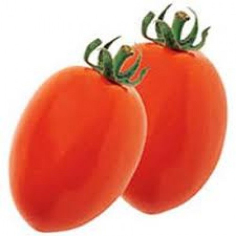 Roma Tomatoes