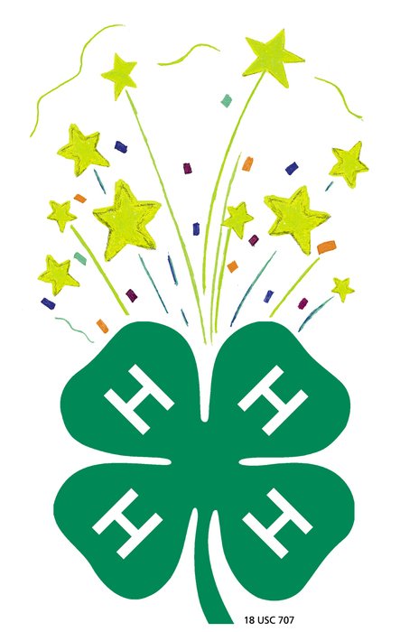 Instifour leaf green stars drawing
