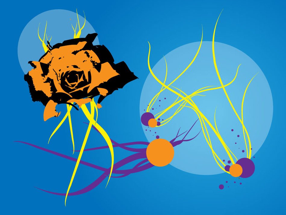 abstract orange rose and algae