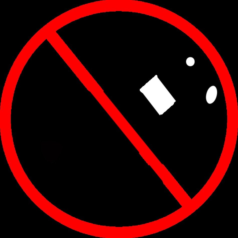 No Animals
