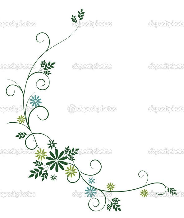 Flower And Vine Drawings