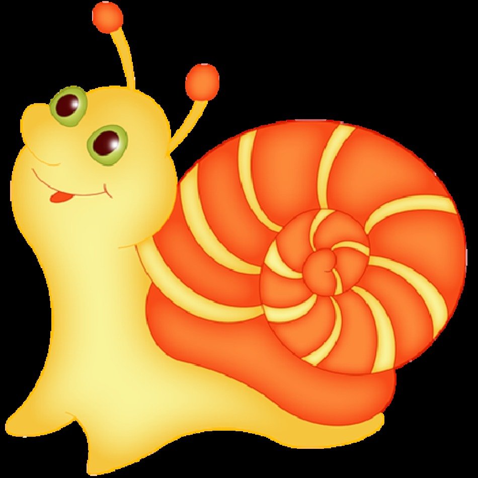 Funny Cartoon Snail