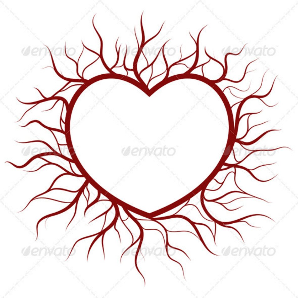 Heart Veins