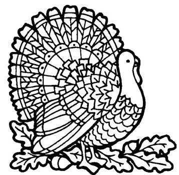 Free Turkey Coloring Pages