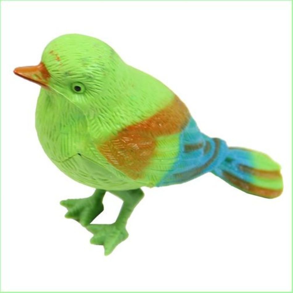 Singing Bird Toy