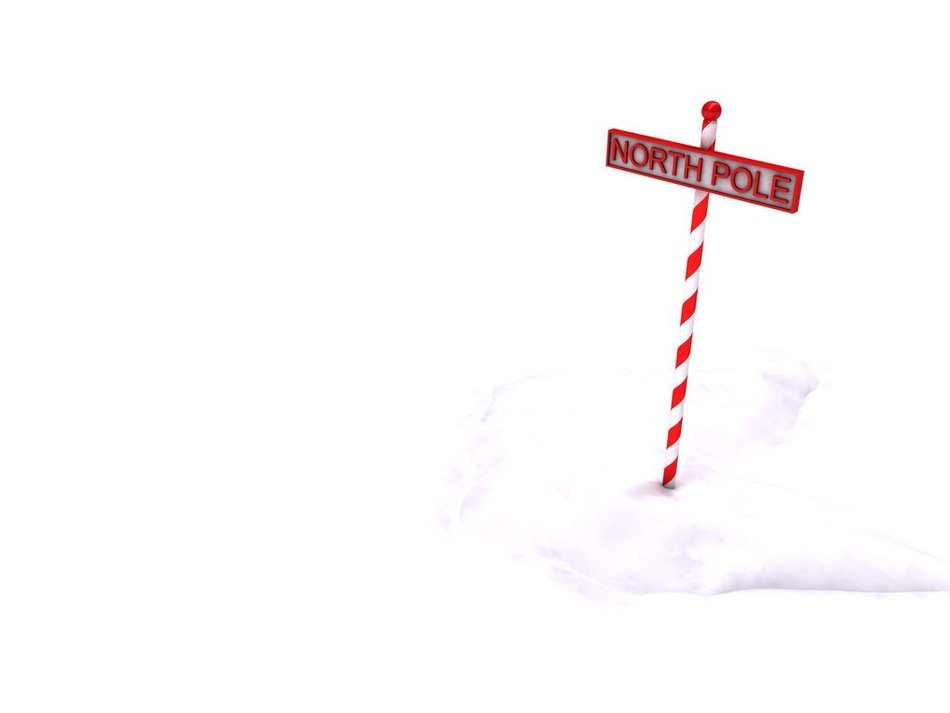 christmas pointer on white background
