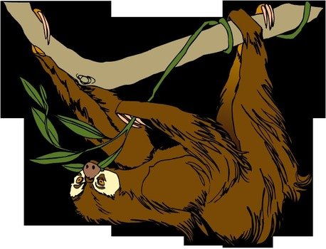 Sloth Clip Art N14