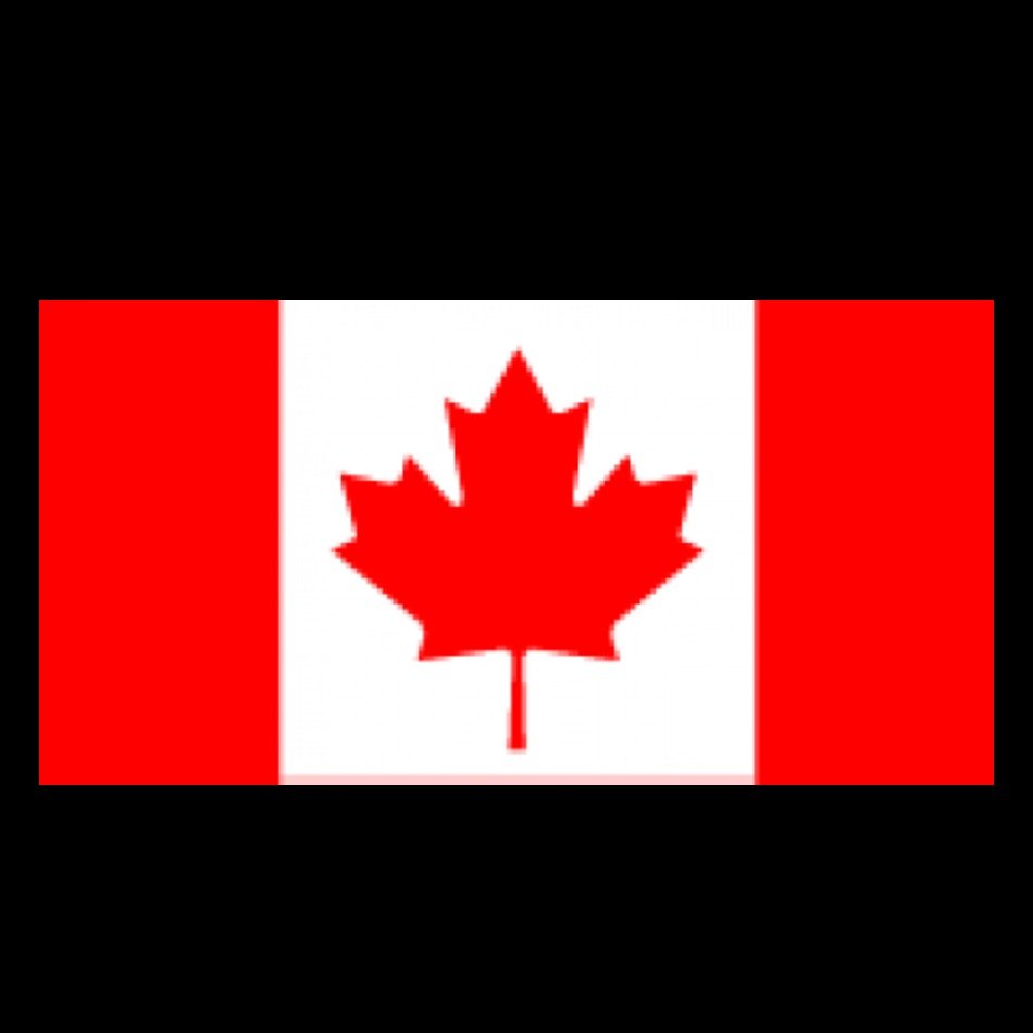 Canada Flag Logo