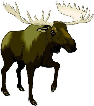 Moose Clip Art N57