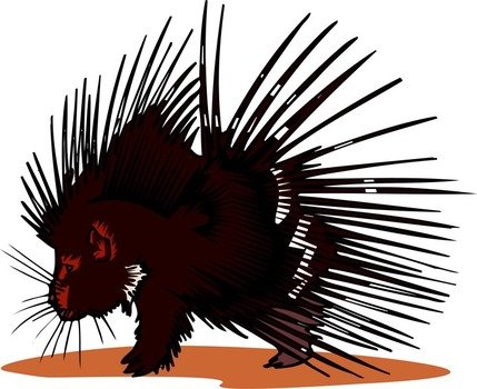 Porcupine Clip Art N11