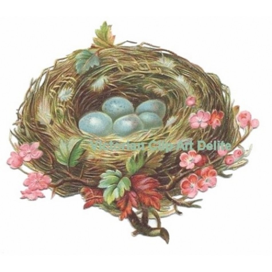 Nest Clip Art N35