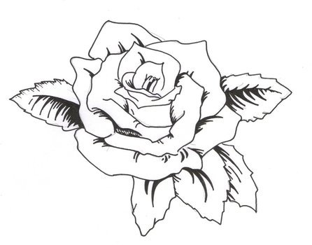 Buy Traditional Rose Going Through A Rose Digital Tattoo Stencil Online in  India  Etsy