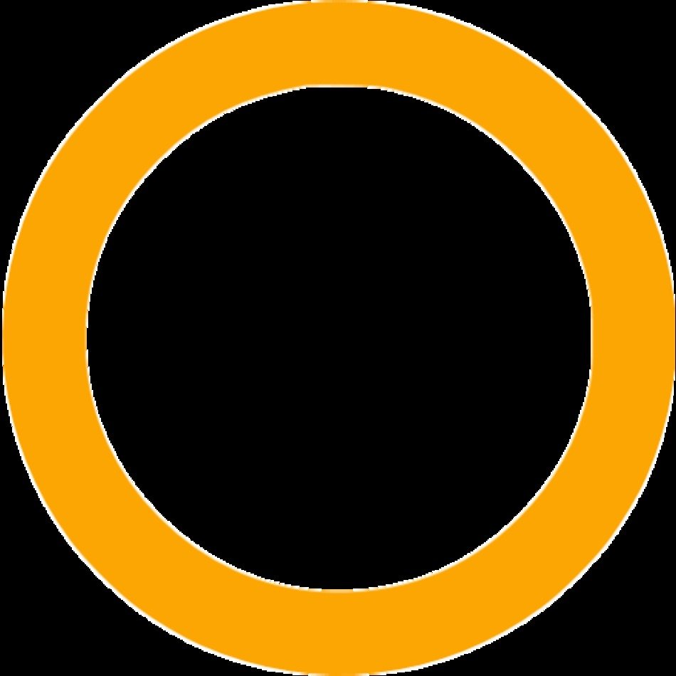 Orange Circle N4