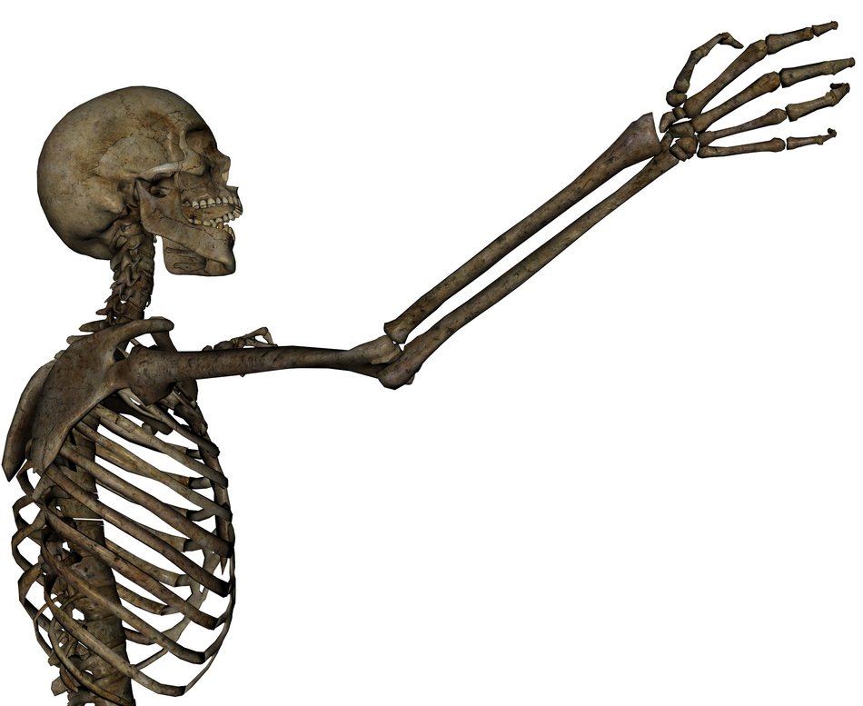 Skeleton Arm N2