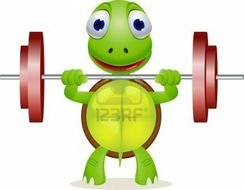 Funny Weight Lifting Cartoons N3