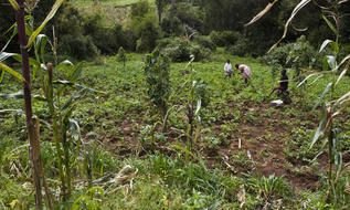 Soil Erosion photo