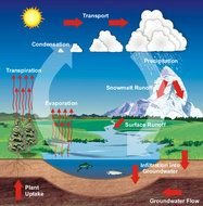 Water Cycle N26