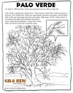 Arizona State Bird Coloring Page
