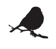 Black And White Bird Clip Art N24