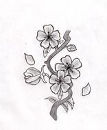 Cherry Branch Outline Drawing