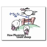 Counting Sheep N4