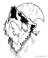 Free Wolves Coloring Page