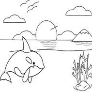 Killer Whale Coloring Pages Printable