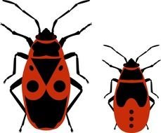 Love Bug drawing