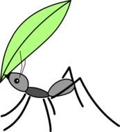 Ant Carrying A Leaf Clip Art