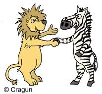 Colorful drawing of the zebra with the lion clipart