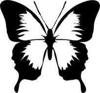 Free Clip Art Black And White Butterfly N7