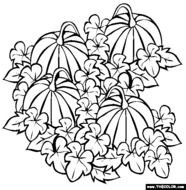 Pumpkin Patch Coloring Pages Printable