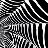 Spider Web, 3d black and white Pattern
