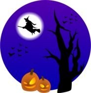 Witch On Broom N5