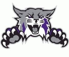 Wildcat Logo N5