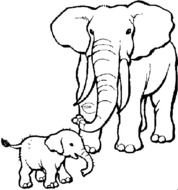 Elephant Coloring Pages N6