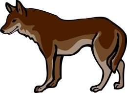 Brown Wolf Cartoon