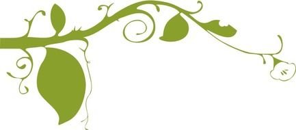 Cotton Plants Clip Art Border