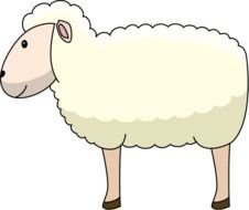 Sheep Clip Art N107