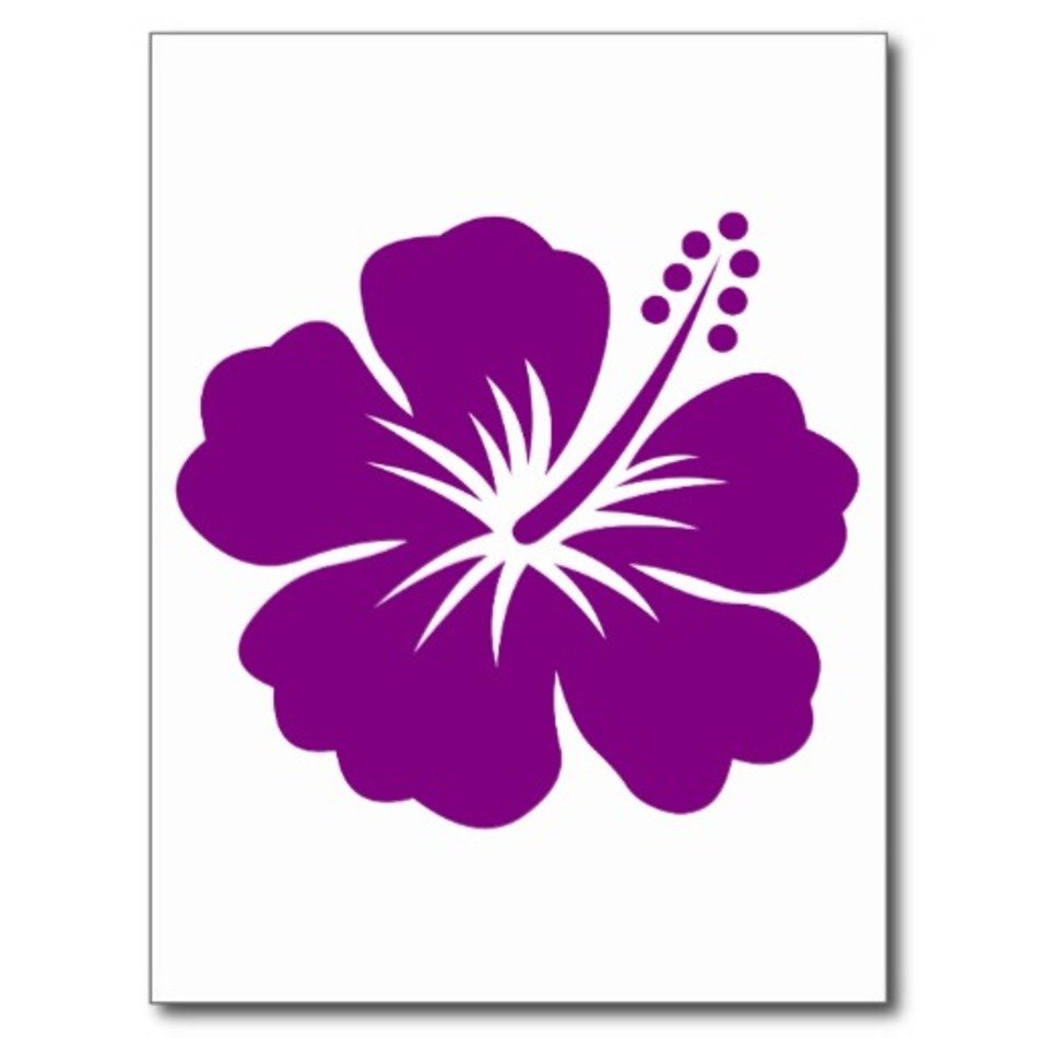 Purple Hibiscus Flower