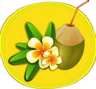 Tropical Drink Clip Art N29