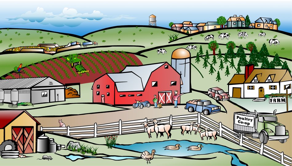 Farm drawing