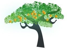 Orange Tree
