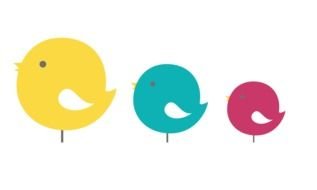 drawing of birds of different sizes and colors