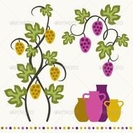 Grape Vine Vector N6